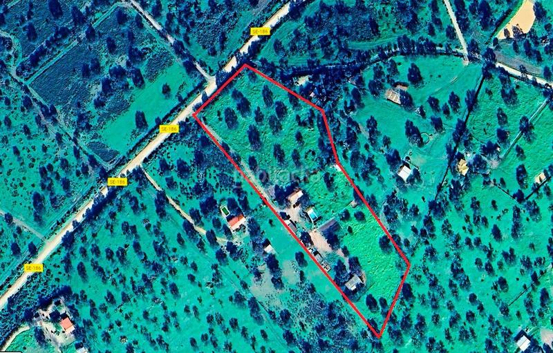 Foto e9b35d9a-bdf8-4807-81d3-b302bb657682. Finca rústica parcela rústica con vivienda, instalaciones ganaderas y licencia zoológica en Castilblanco de los Arroyos