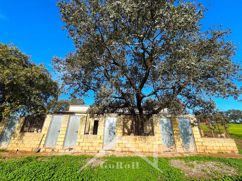 Foto ef3da4de-5245-4a04-8635-477f8d63725c. Finca rústica parcela rústica con vivienda, instalaciones ganaderas y licencia zoológica en Castilblanco de los Arroyos