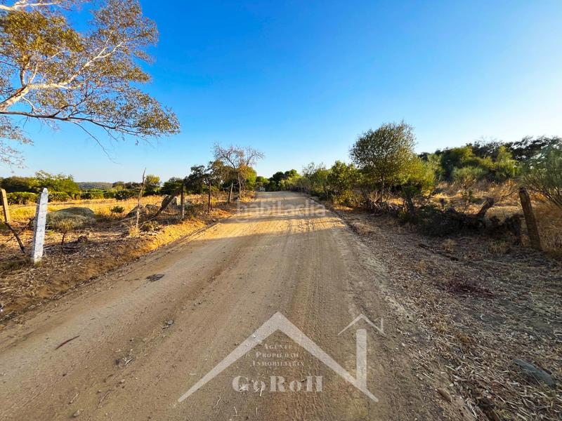 Foto 495aa48b-ba27-41bd-8114-f1e8365b53fd. Finca rústica a Guillena pueblo Guillena