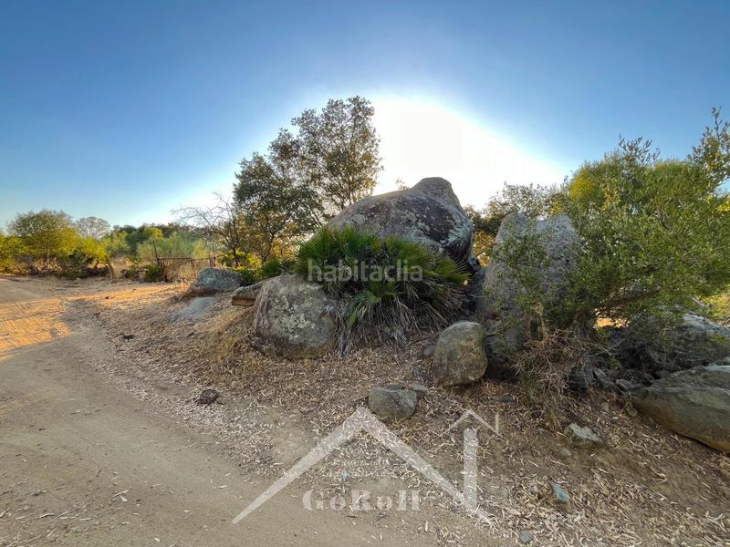 Foto a0c9f595-6c92-4487-a36a-f29e83ffc95b. Finca rústica a Guillena pueblo Guillena