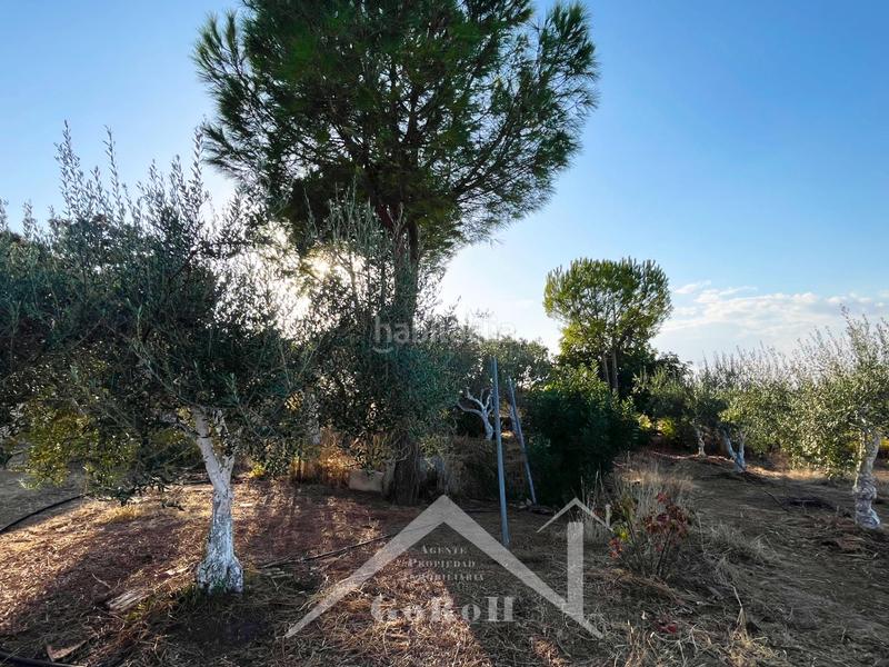 Foto a91df0e2-4868-49e3-ad4e-d821744b9da0. House in Castilblanco de los Arroyos