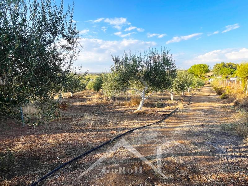 Foto ce36c46f-e45c-41e0-be07-d626146f75bd. House in Castilblanco de los Arroyos