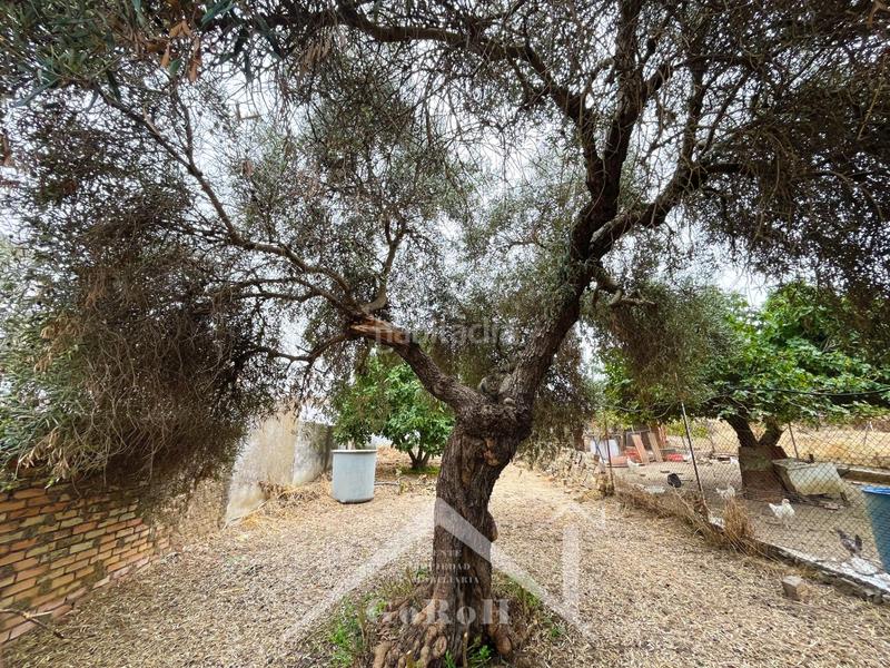 Foto b9c1d164-9ce0-49c8-9e5d-14b6a8719f5c. Reihenhaus mit heizung in Castilblanco de los Arroyos