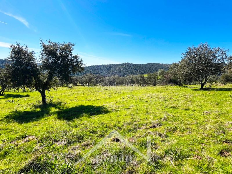 Foto aa564760-245a-4724-8b9d-aae80eda0fbb. Finca rústica a Almadén de la Plata