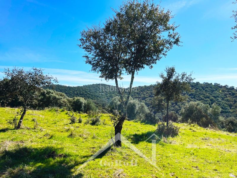 Foto b5900200-8075-4b78-b73d-0a200085577f. Finca rústica a Almadén de la Plata