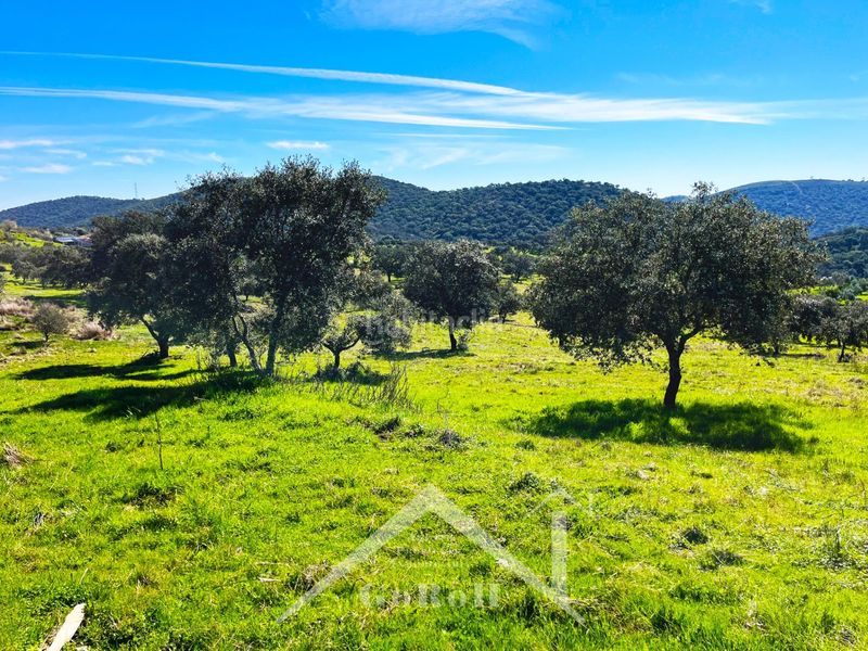 Foto b6ae426d-40de-4f5a-8572-65a6ba0213e7. Finca rústica a Almadén de la Plata