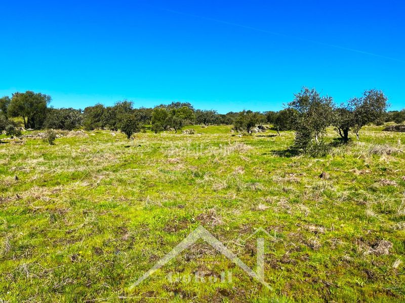 Foto d76d577c-d0e1-4b4e-abf7-3c4202cb8bc5. Finca rústica a Almadén de la Plata