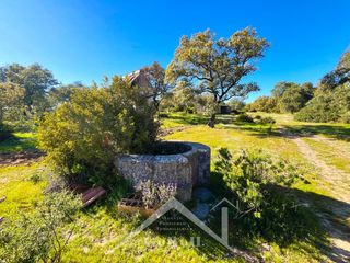 Landgut in Castilblanco de los Arroyos. Finca rústica con encanto en plena sierra morena  80.133 m2 de n