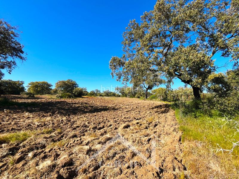 Foto 42e618d6-abc2-4ddd-ba8e-810a4101666c. Finca rústica a Castilblanco de los Arroyos