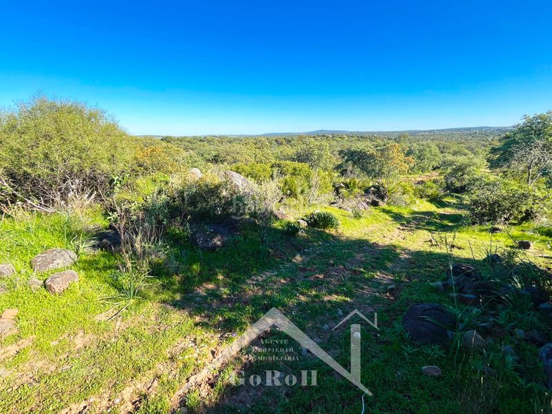 Foto 4d9167a5-2c1d-4625-b724-c54a7f5d529c. Finca rústica a Castilblanco de los Arroyos