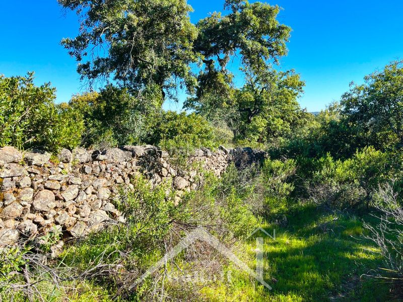 Foto 4eb4e00b-9855-443f-bf85-01c8ec30cc65. Finca rústica a Castilblanco de los Arroyos
