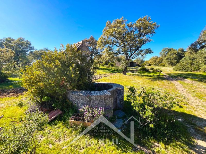 Foto a2f4763b-8688-4ac1-9ef0-1b6861c0635f. Finca rústica a Castilblanco de los Arroyos