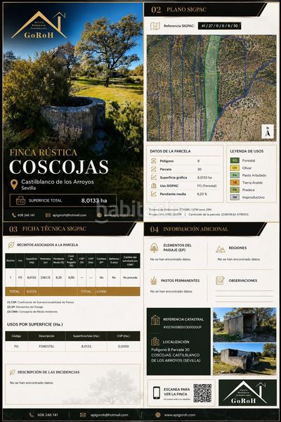Foto a84aa778-fb84-4d84-8d5a-43be42d0d8e8. Finca rústica a Castilblanco de los Arroyos