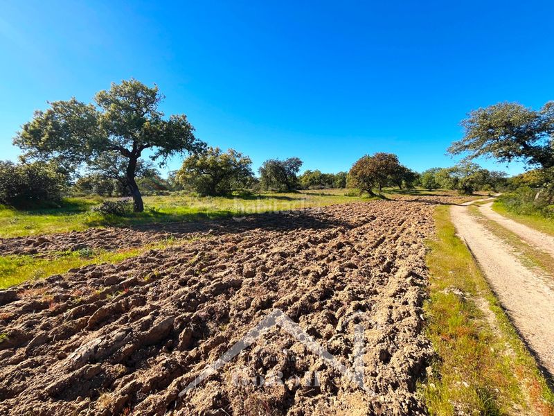 Foto b323b176-adff-4bc5-96fa-71ae4671e49e. Finca rústica a Castilblanco de los Arroyos