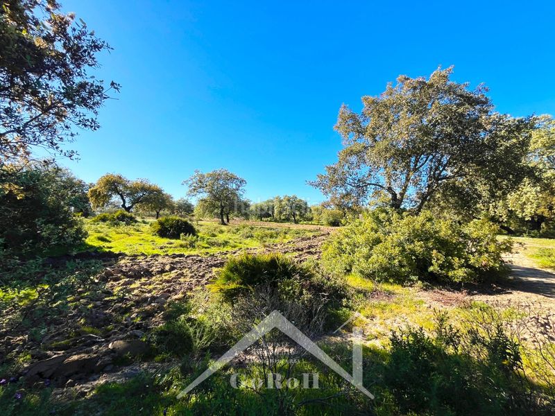 Foto be6519d8-b0b1-404f-ac25-dcbe9d6d3ab3. Finca rústica a Castilblanco de los Arroyos