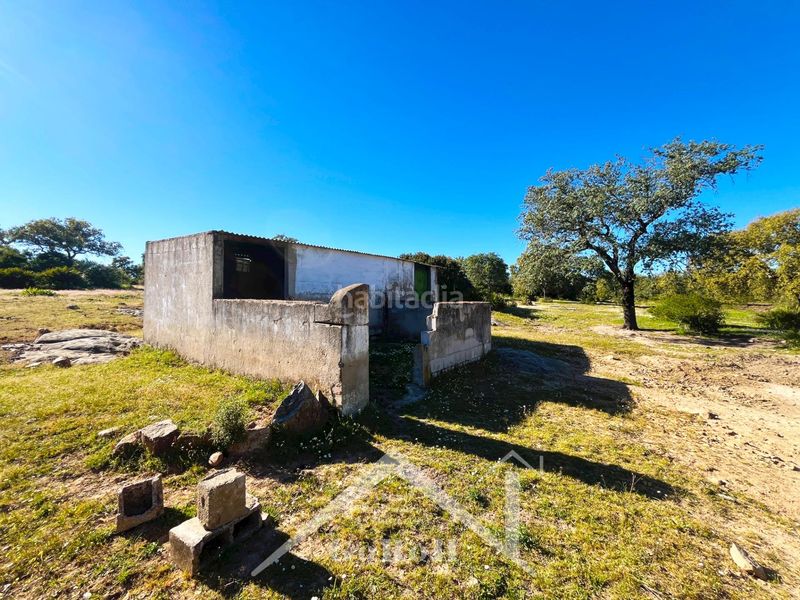 Foto d4bc7019-9014-4c62-ae57-4a1ff920d36a. Finca rústica a Castilblanco de los Arroyos