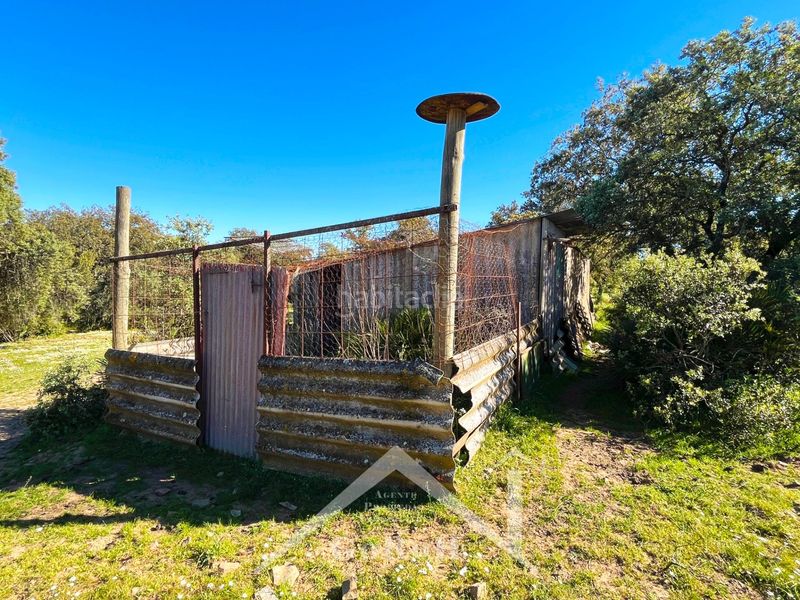 Foto f9e5f167-e9a1-4c48-9cad-f5080f9bfd16. Finca rústica a Castilblanco de los Arroyos