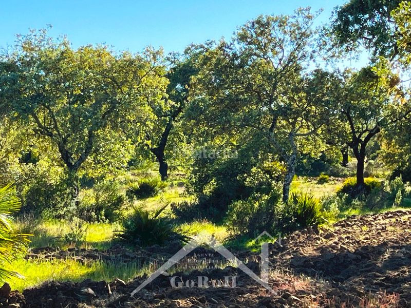 Foto fb655238-3736-44f1-a2ab-23f0a916db08. Finca rústica a Castilblanco de los Arroyos