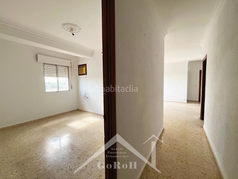 Foto 0e29acae-4b18-4122-808a-8ab1a9d38aa1. Pis a Cantillana
