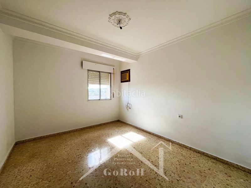Foto a1dda6e8-35bf-4beb-af4c-38eab716a18b. Pis a Cantillana