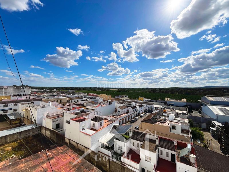 Foto db49f081-11c8-4055-935d-4df832fe4609. Pis a Cantillana