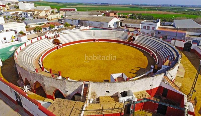 Foto e61daf86-5c82-4278-9e2a-0b0e607dd05d. Pis a Cantillana
