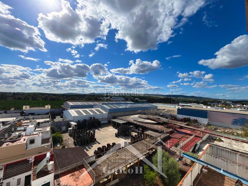 Foto e7250a96-7567-492b-bc15-c0e5c2cdba2f. Pis a Cantillana