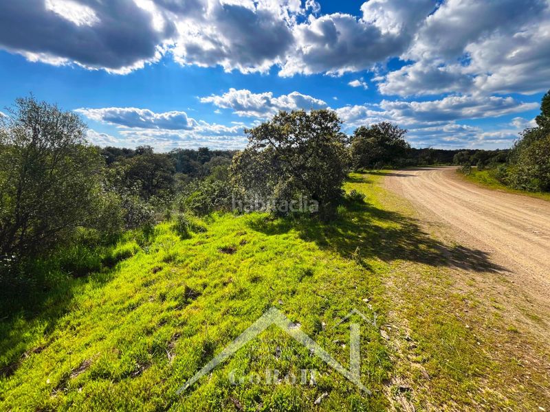 Foto 1a7f6d58-bd91-439d-96d0-9f02564e8c08. Finca rústica a Guillena pueblo Guillena