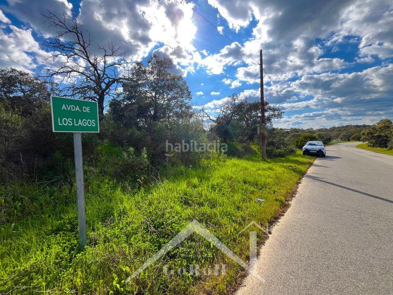 Foto a1a5f026-dd52-4789-b206-457e3476d567. Finca rústica a Guillena pueblo Guillena