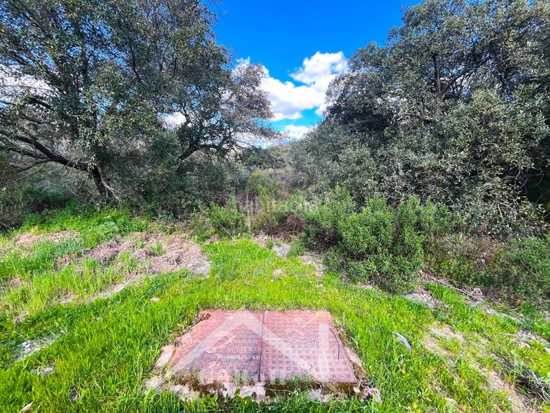 Foto b3151ea0-51bd-4f5a-9831-35cae8aba3d1. Finca rústica a Guillena pueblo Guillena