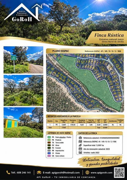 Foto d288d5f4-0a42-47ee-aa88-aac173dc7317. Finca rústica a Guillena pueblo Guillena