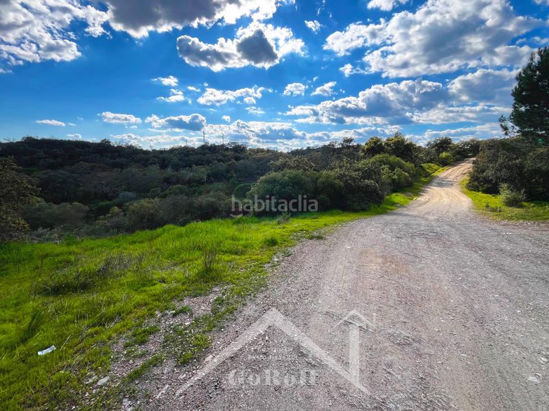 Foto f18a7edc-b4ec-47ab-97af-baf2fbe80a09. Finca rústica a Guillena pueblo Guillena