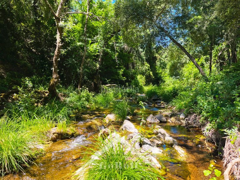 Foto 42f5139b-c2b0-49a0-86e2-32d322519160. Fondo rustico in Constantina