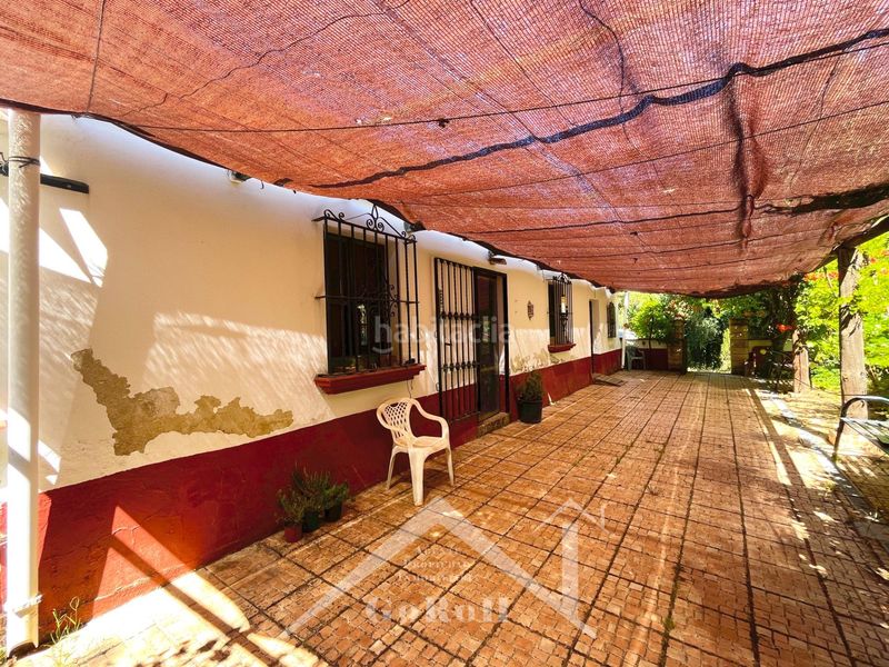 Foto 432a250c-b8b7-4fa1-ac1f-8d5f9e3a0a7b. Fondo rustico in Constantina