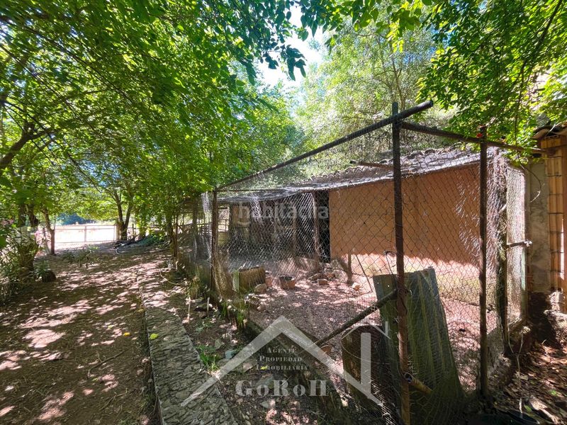 Foto 556c75f5-67db-46ca-9f22-e4f6b6219a77. Fondo rustico in Constantina