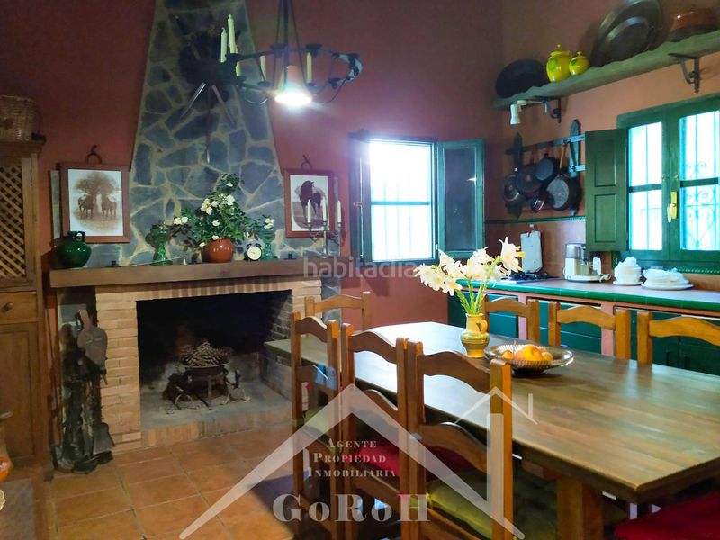Foto 570555a5-6dbc-40a4-b5c4-f58144df76f3. Fondo rustico in Constantina