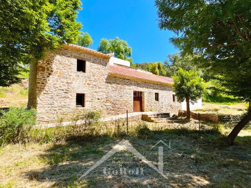 Foto a3b56d19-84ed-4ea4-a522-254d0c79bed4. Fondo rustico in Constantina