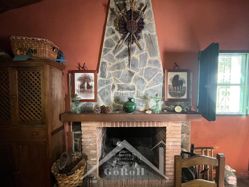Foto a9543e37-2541-4399-b0eb-a5597ad4e187. Fondo rustico in Constantina
