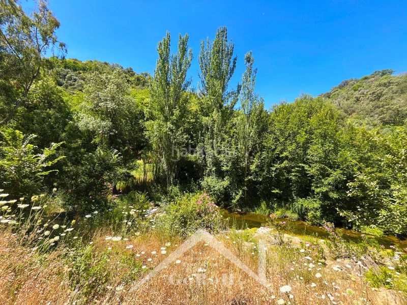 Foto b77661cd-c5b2-4cc9-b38d-e554c3652133. Fondo rustico in Constantina