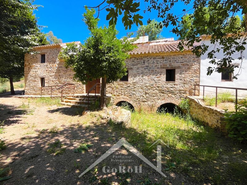 Foto c60dbf7b-8cc8-4edd-9a9d-e85714648a23. Fondo rustico in Constantina