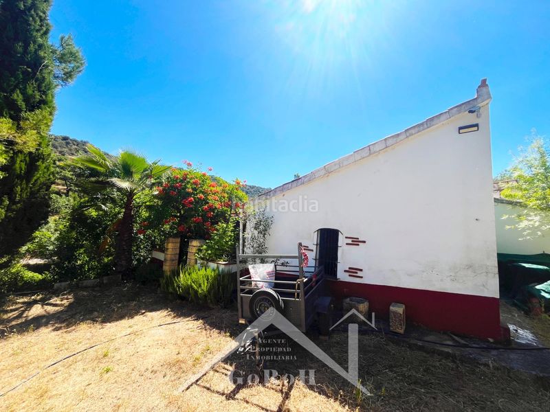 Foto c94554d9-fd93-45f2-8fdd-b66ed73e6831. Fondo rustico in Constantina
