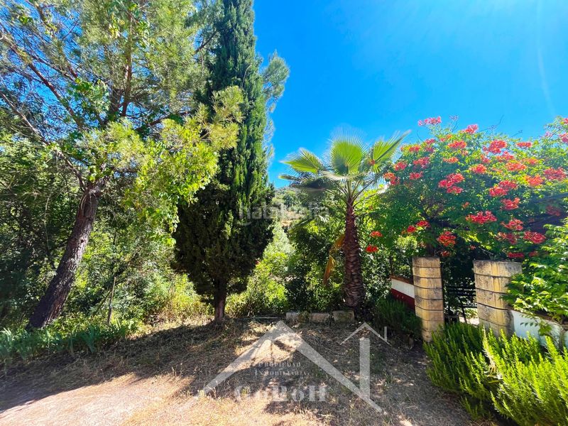 Foto d6ef5c03-ad33-4726-8e87-2b4f11b2267a. Fondo rustico in Constantina