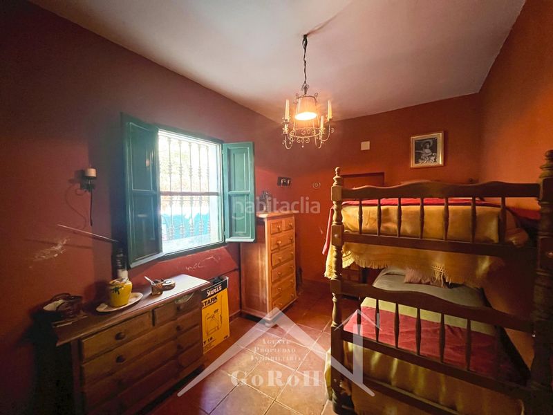 Foto f2e8f968-1571-441d-b7ac-399df4d286d6. Fondo rustico in Constantina
