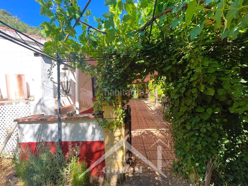 Foto f3494ab5-cf91-4fda-a1fc-b0ae4a9ff5b2. Fondo rustico in Constantina