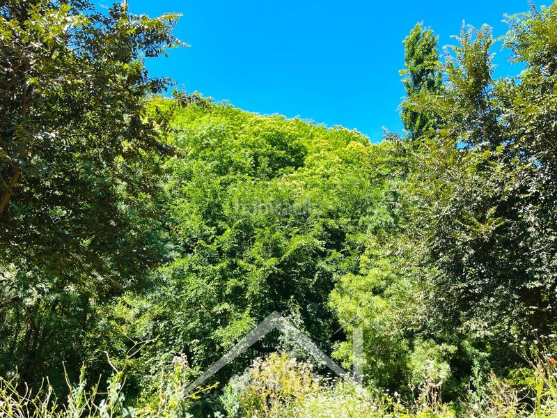Foto ffce5902-bdbb-4f58-86bd-34474cbb23d5. Fondo rustico in Constantina