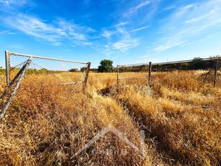Finca rústica a Cantillana. Parcela rústica en ubicación estratégica, a menos de 500 metros