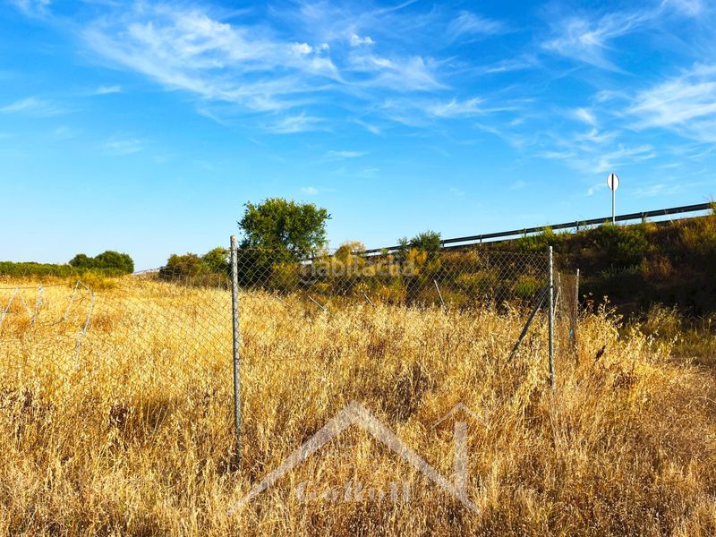 Foto 1668202b-9d15-4e8e-8cdd-55d458d99e81. Finca rústica a Cantillana