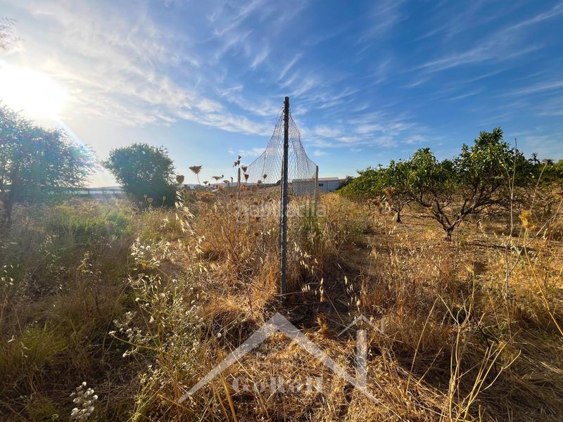 Foto 527a69ee-cf6d-492e-9cf3-6ad922052a6d. Finca rústica a Cantillana