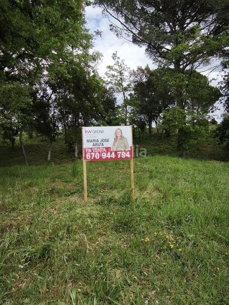 Foto ef548e4c-190a-46d5-848c-7d42dd1e02ea. Terreny residencial a Sils