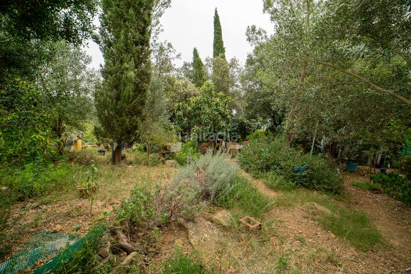 Foto a2bd79b0-6349-41e2-94db-5739e82fad15. Wohngrundstück in Sant Gregori